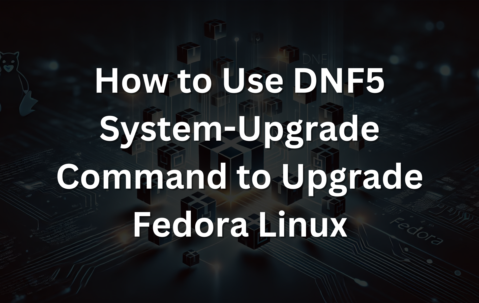 如何使用DNF5系统升级命令升级Fedora