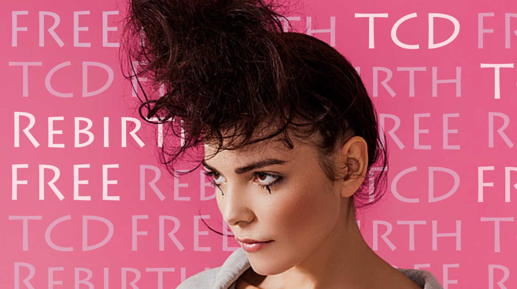 TCD免费主题的安装说明“重生” [简单＆高质量]